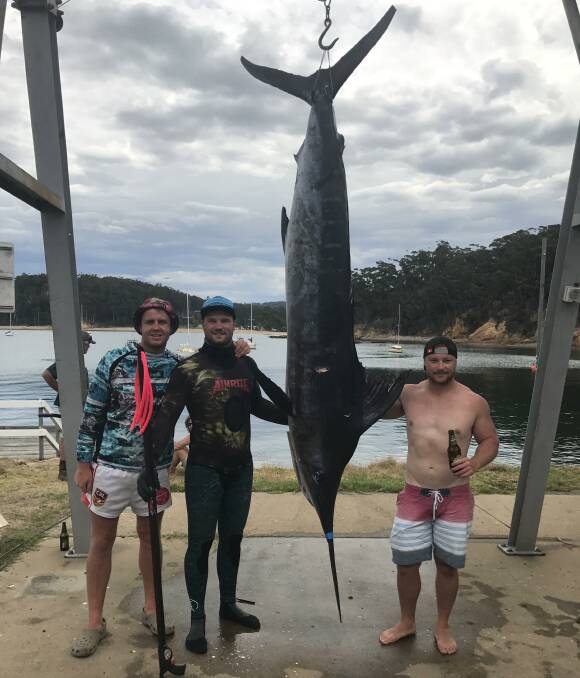 CATCH: Fishing mates from Canberra and Eden, Luke Pattrick, Timmy Knight and Kyran Crane at Quarantine Bay with the 138.5 kilo South Coast striped marlin caught off Eden on Sunday. 