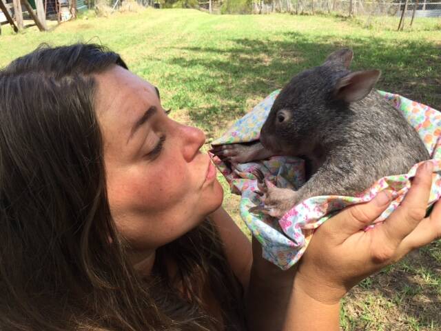 SANCTUARY: Cowsnest resident Anna Lindstrand welcomes a WIRES orphaned wombat to the community farm.