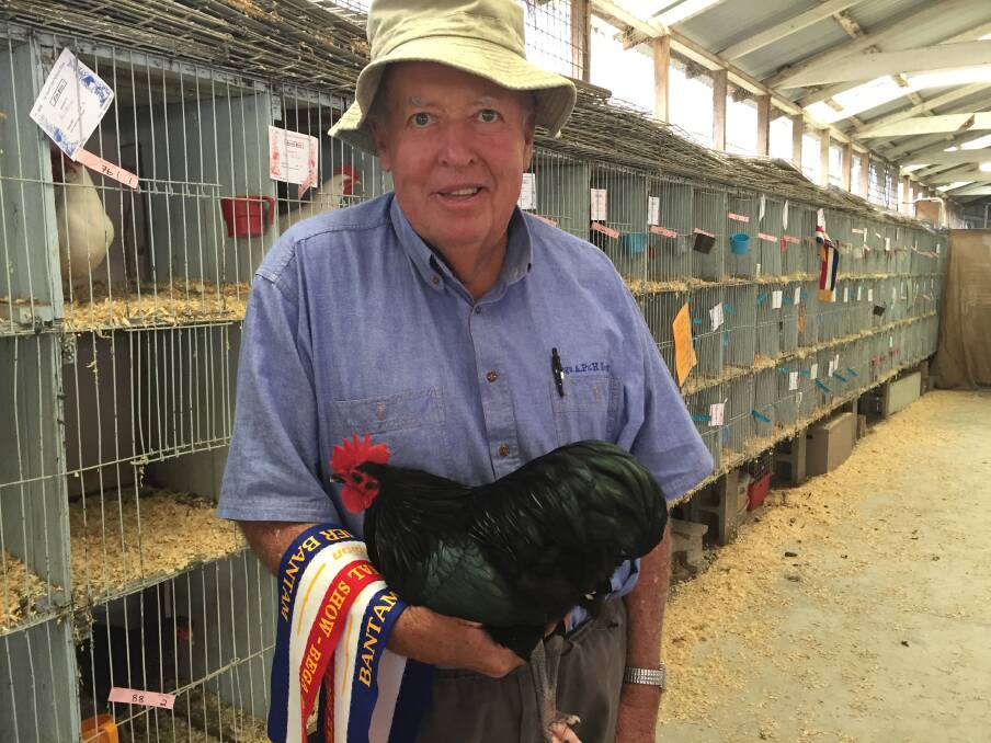 Peter Ubrihien with his champion bantam of show, which also picked up champion softhead of show