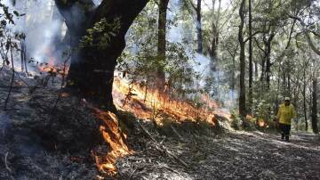 A hazard reduction burn in Beowa National Park from April 18. Picture file