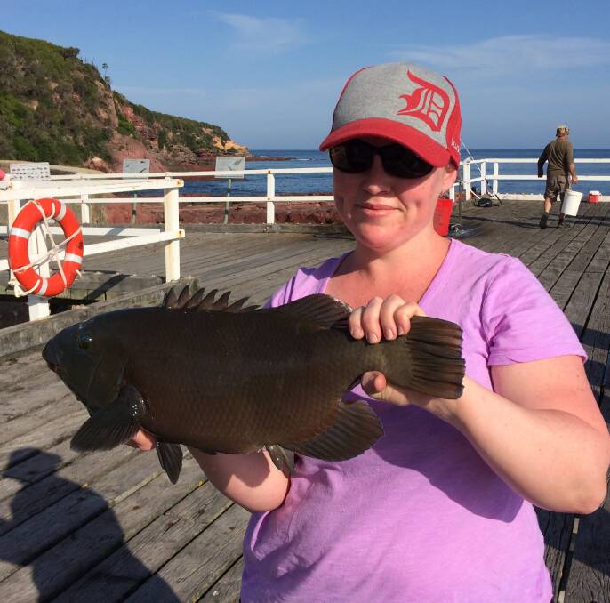 Happy visitor:  Melanie Hardie from the Southern Highlands shows off a magnificent grouper caught and released from the Merimbula Fishing Platform.