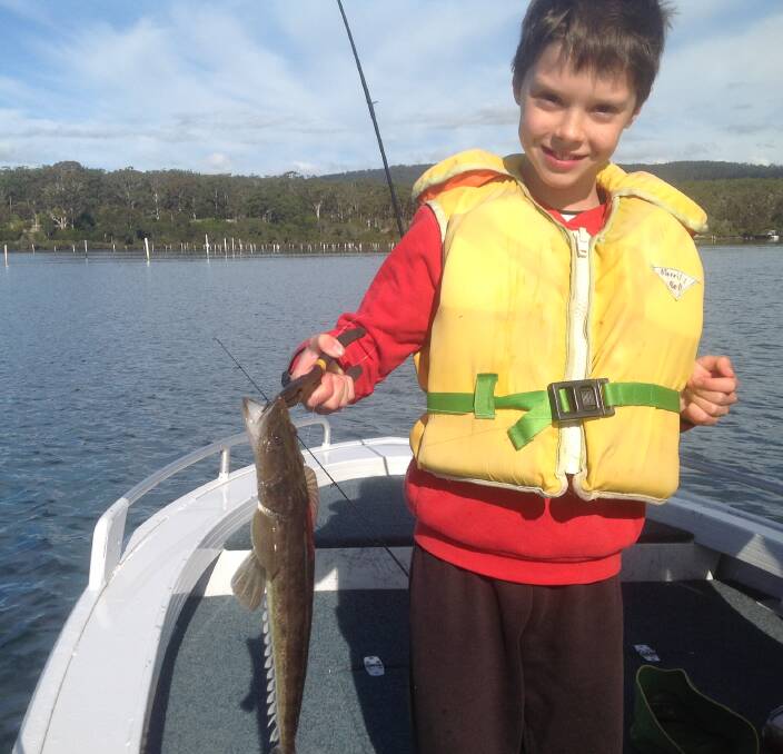 Junior angler Dominic Breen on school holidays from Melbourne shows a lovely dusky flathead before its release in the Pambula Lake.