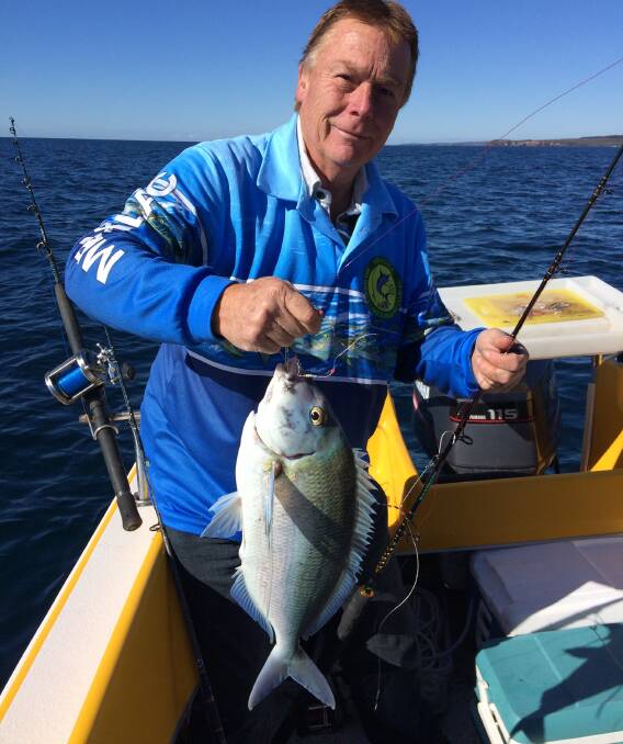 Excellent catch: Mirador angler Tim McConnachie shows a lovely morwong taken east of Eden. Snapper and morwong are on the bite about Green Cape and Bitangabee.
