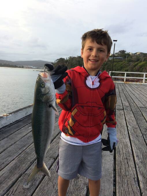 Top catch!: Seven-year-old Jordan Gomez of Melbourne with a 2kg Australian salmon captured at the Merimbula Wharf. Mornings and evenings are the best time to hook up.