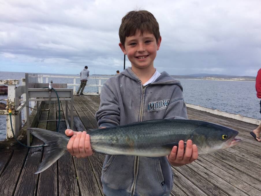 Nice catch!: Junior angler Kalam Grant on school holidays from Ballarat shows a lovely Australian salmon at the Merimbula Fishing Platform.