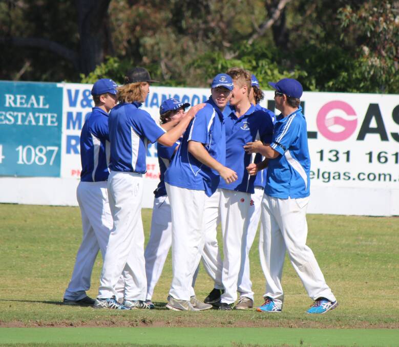 Bluedogs players celebrate a wicket earlier in the season with the Pambula club and the Merimbula Knights going into semi-finals on Saturday. 