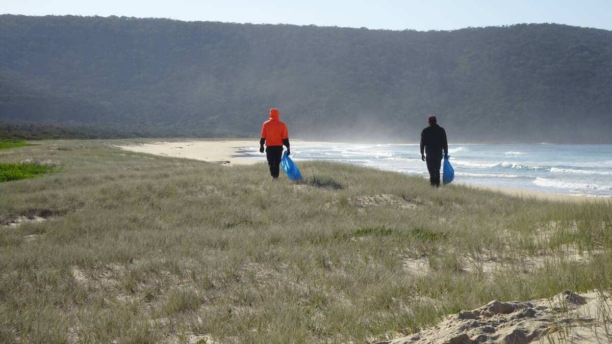 CLEAN UP: People power has resulted in less weeds and rubbish on Far South Coast beaches. Picture: Chris Post, FSC Landcare