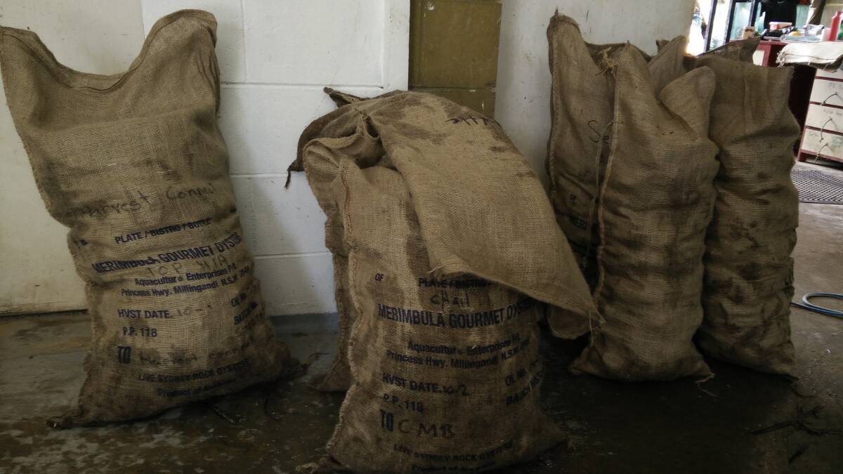 Sacks of oysters from the Boyton family's farm bound for restaurants on the South Coast and in Sydney.