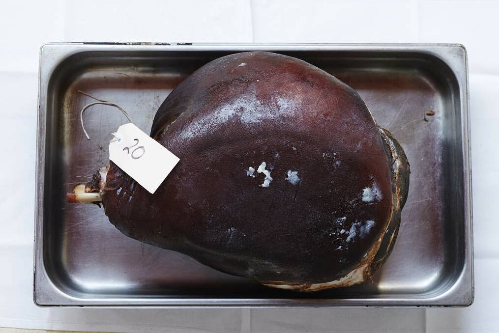Best New Entry - Ham 20: Salt Kitchen Charcuterie Christmas Ham. Photo: Kristoffer Paulsen