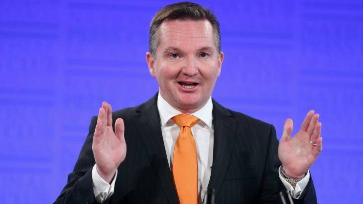 Shadow treasurer Chris Bowen says Labor will be more constructive in opposition than the Abbott-led Coalition was.  Photo: Alex Ellinghausen