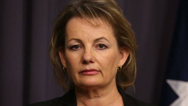 Health Minister Sussan Ley is expected to announce a reform package is being finalised. Photo: Andrew Meares
