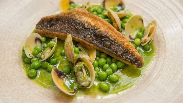 Pan-fried rock flathead with basque green sauce, peas and baby clams at Movida. Photo: Jesse Marlow