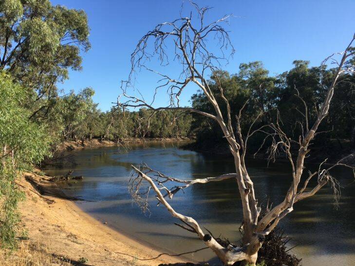 The river at Moama today PHOTO by Chris Vedelago THE SUNDAY AGE 4th March 2017 Photo: Chris Vedelago