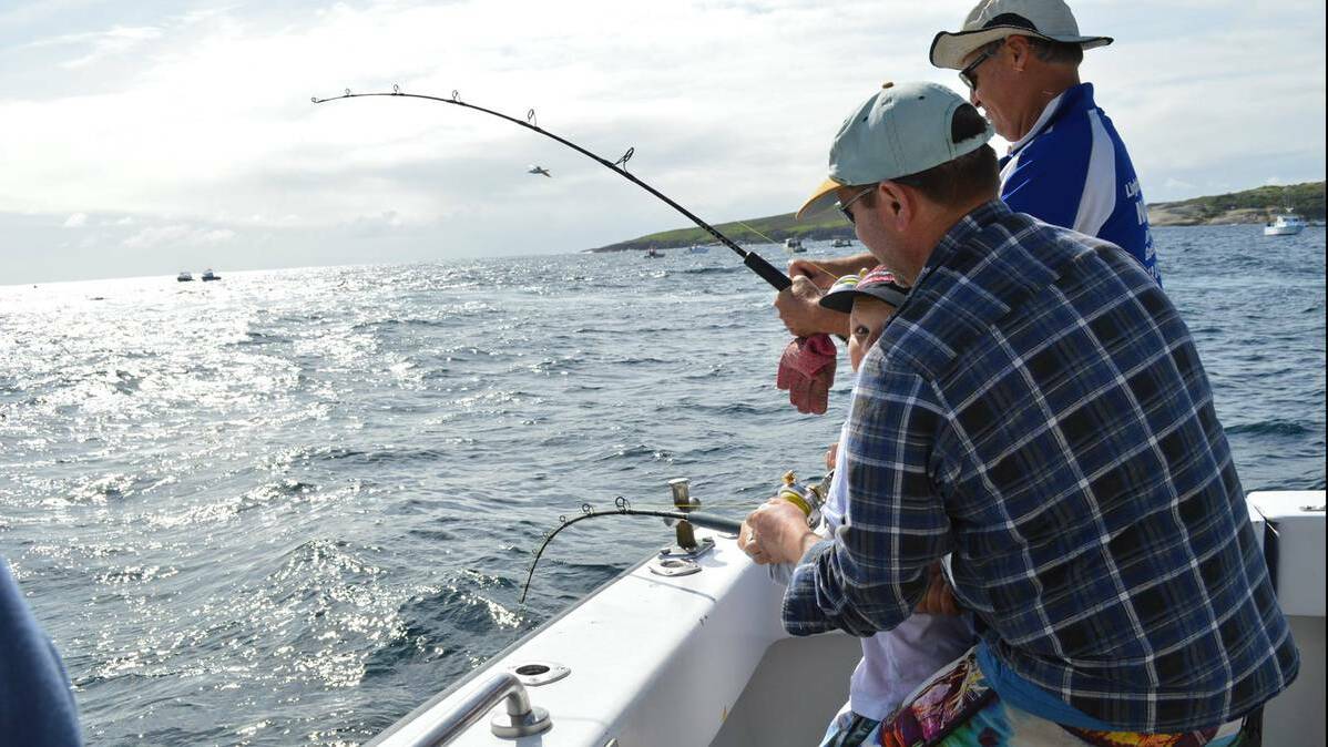 KING: ACTION: Clients on Lighthouse Charters on Tuesday experiencing the great run of kingfish currently on at Montague Island off Narooma. (9/4/14)