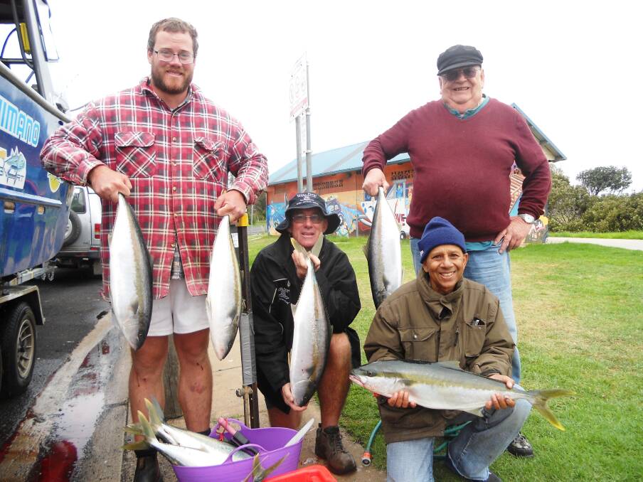 MONDAY KINGS: Terry and Sam from Leeton, and Joe and Tony from Canberra with a few of their 17 kingfish caught on Monday aboard 'Aquanaut' from Narooma Fishing Charters. (26/3/14) 