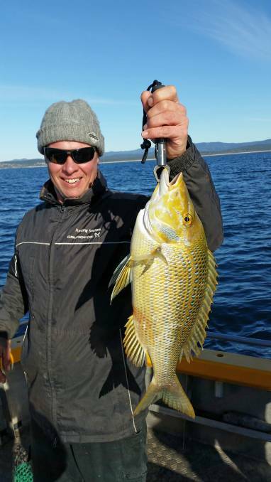TROPICAL VISITOR: Millingandi’s Steve Pickup caught and identified a spangled emperor off Long Point, Merimbula. 