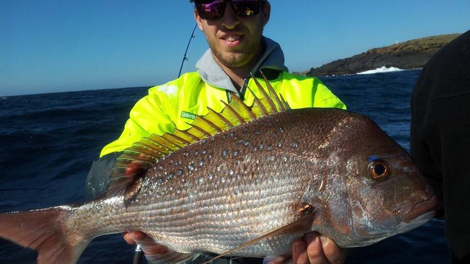 DESCENT SNAPPER: Matt from Sydney with a great snapper around 4kg caught on Nitro with Charter Fish Narooma on Saturday, and it was one of 20! (2/4/14) 