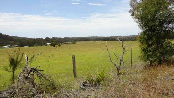 The site of the proposed primary school in Kulbardi Close, Bournda. 