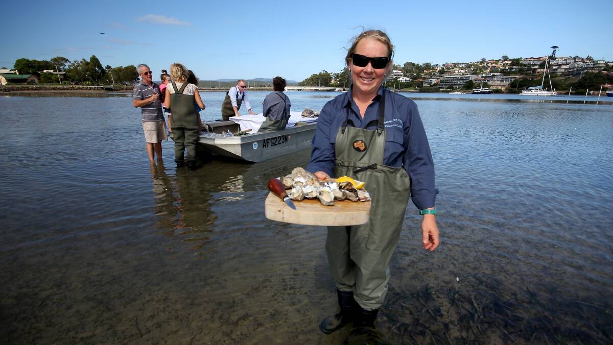 Don waders and stroll across Merimbula Lake with an oyster farmer to enjoy freshly shucked oysters. 