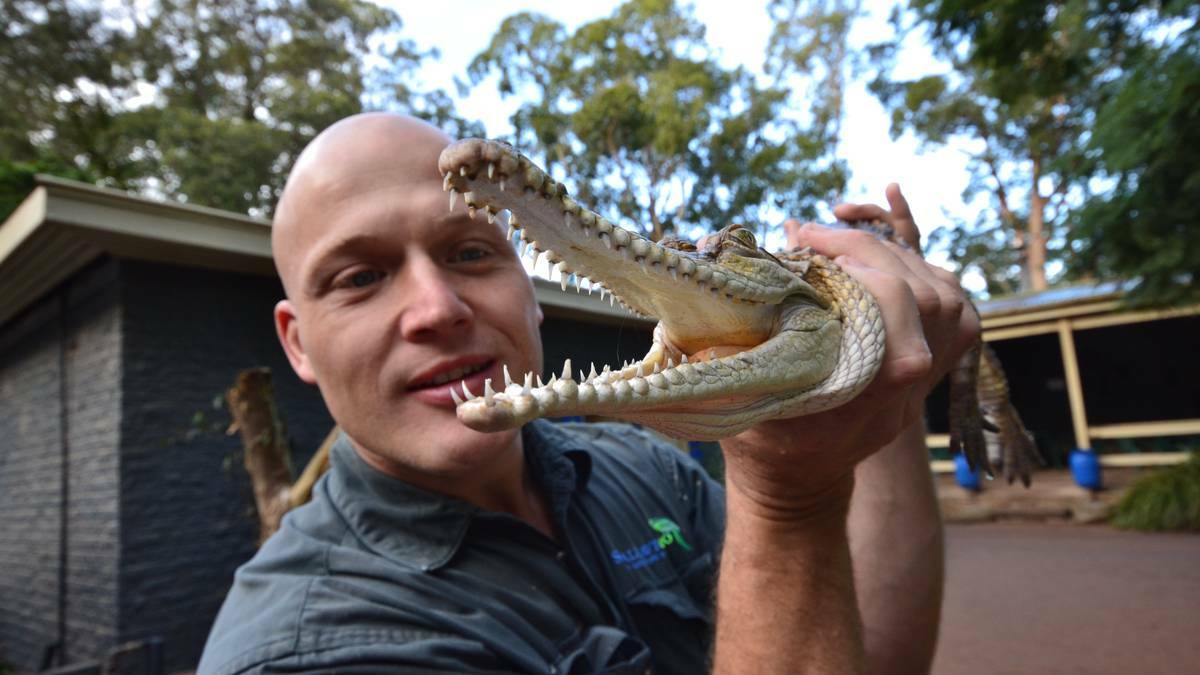 Two men have been charged in relation to keeping a crocodile in a residential area.