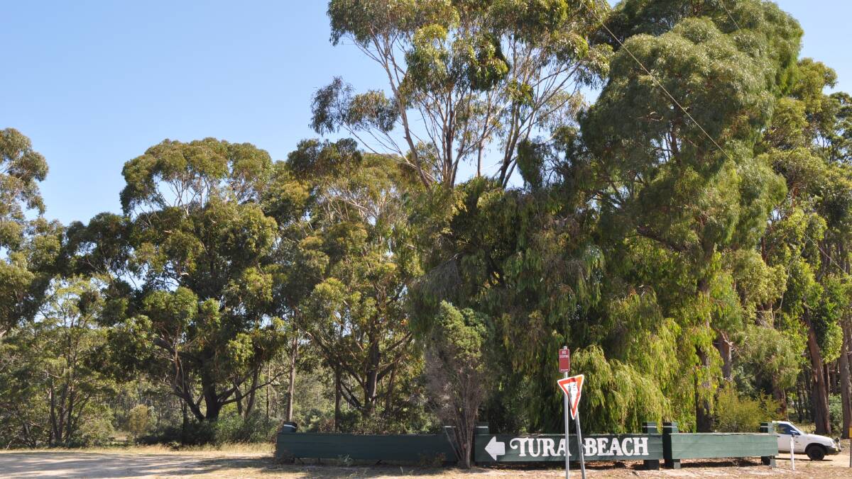 Council has resolved to rezone the land at the entrance to Tura Beach  opposite the Woolworths shopping complex, from residential to a business development zone.