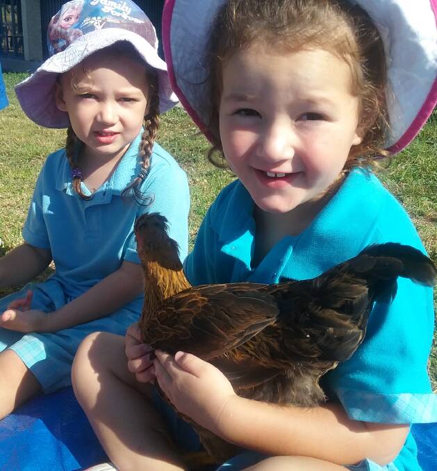 Bega Montessori School kids with the chickens in their garden.