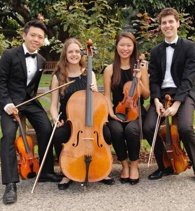 Talented youth: The Wentworth String Quartet will perform at Wolumla.