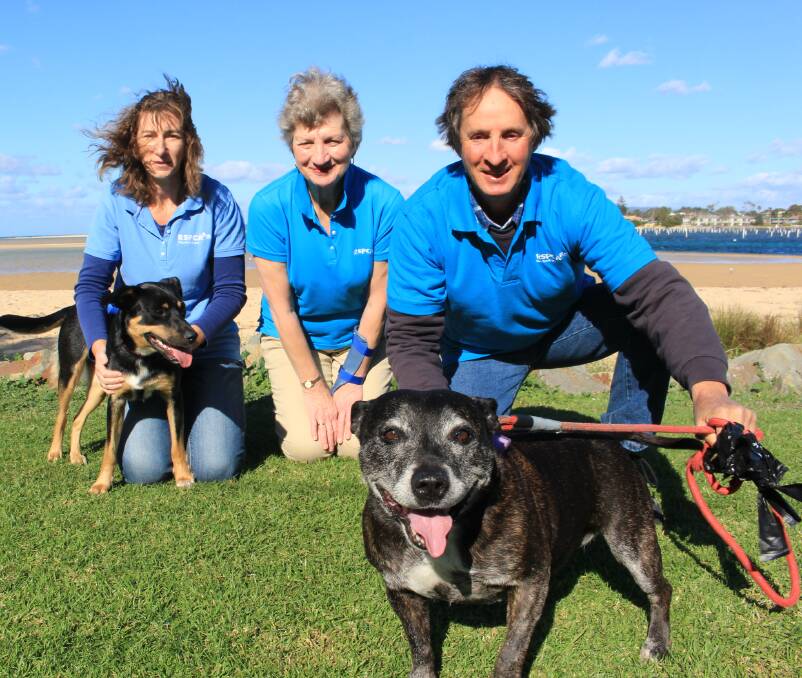Best friends: RSPCA Sapphire Coast branch volunteers Liz Wheeler, Margaret Shaw and Shane Thornbury with dogs Missy and Sasha ahead of this weekend's Million Paws Walk. Picture: Melanie Leach 