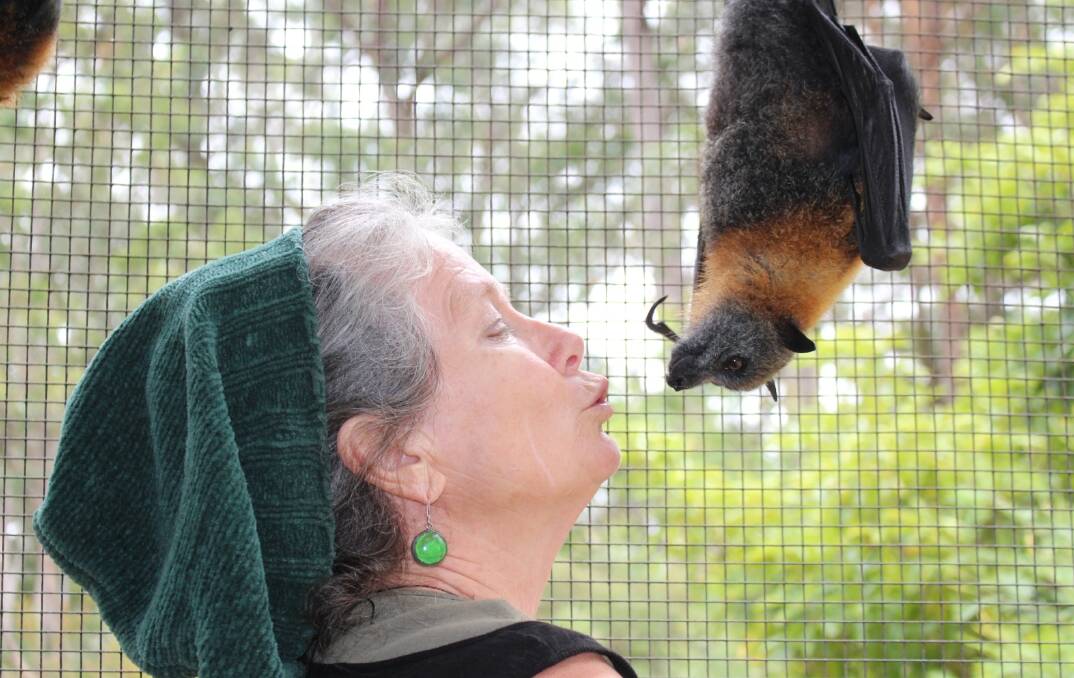 Alexandra Seddon, founder of Potoroo Palace Wildlife Sanctuary at Yellowpinch, gets up close and personal with a grey-headed flying fox.