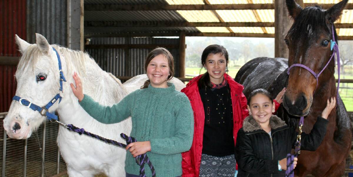 Passion for horses: Merimbula Public School year 6 pupils Margot Chabrier, Bridget Young and Chole Ghattas with Oakland's horses Tammy and Breezy. Picture: Melanie Leach