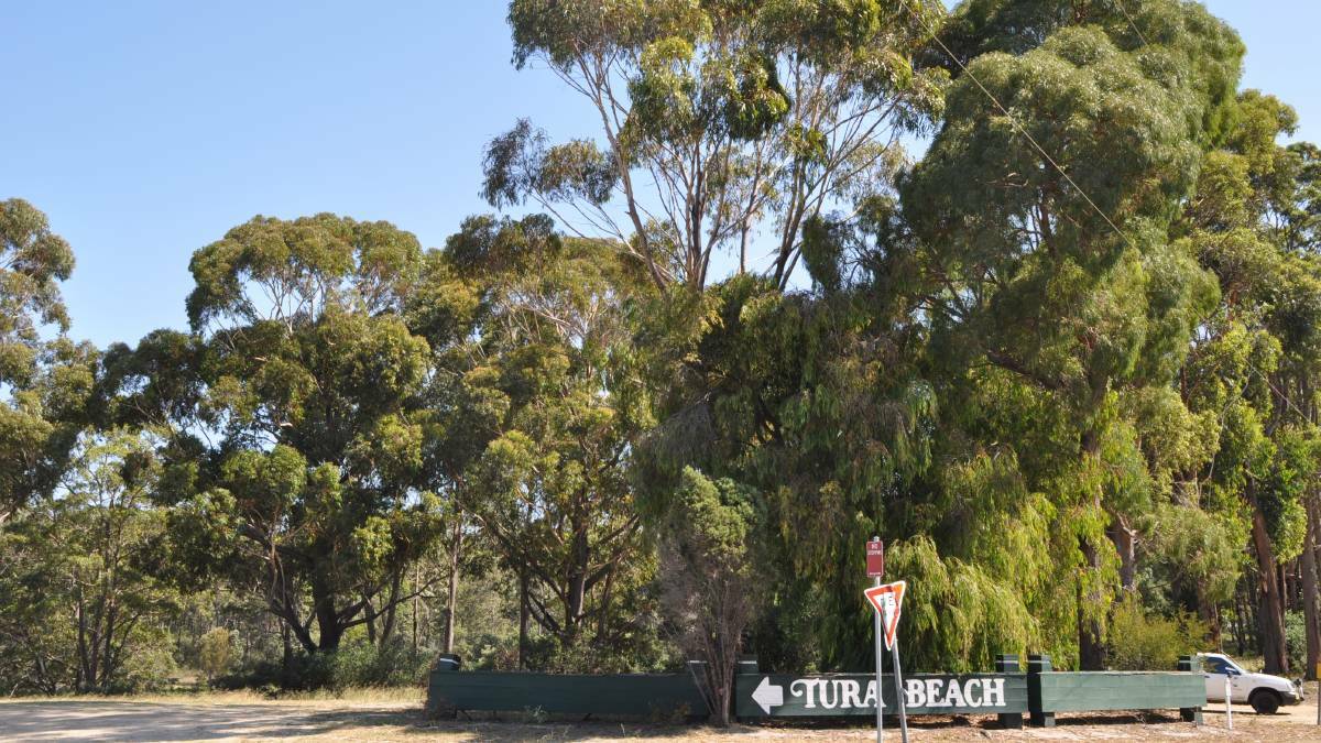 NSW Planning refuses Tura Beach Bunnings rezoning