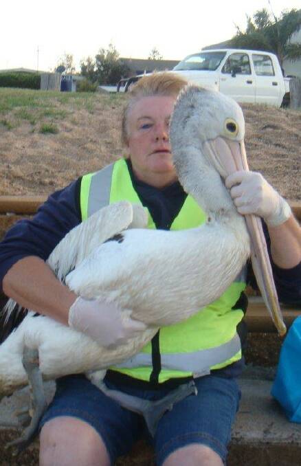 WIRES member Janine Green with a pelican she rescued who had his leg badly entangled in fishing line. 
