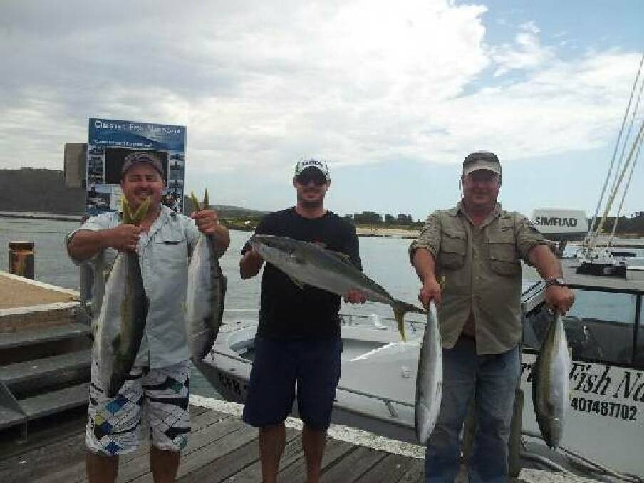LEGAL KINGS: Greg and his mates from Wagga Wagga fished on Charter Fish Narooma’s “Playstation” last Tuesday getting a few legal kingfish. 11/12/2013 
