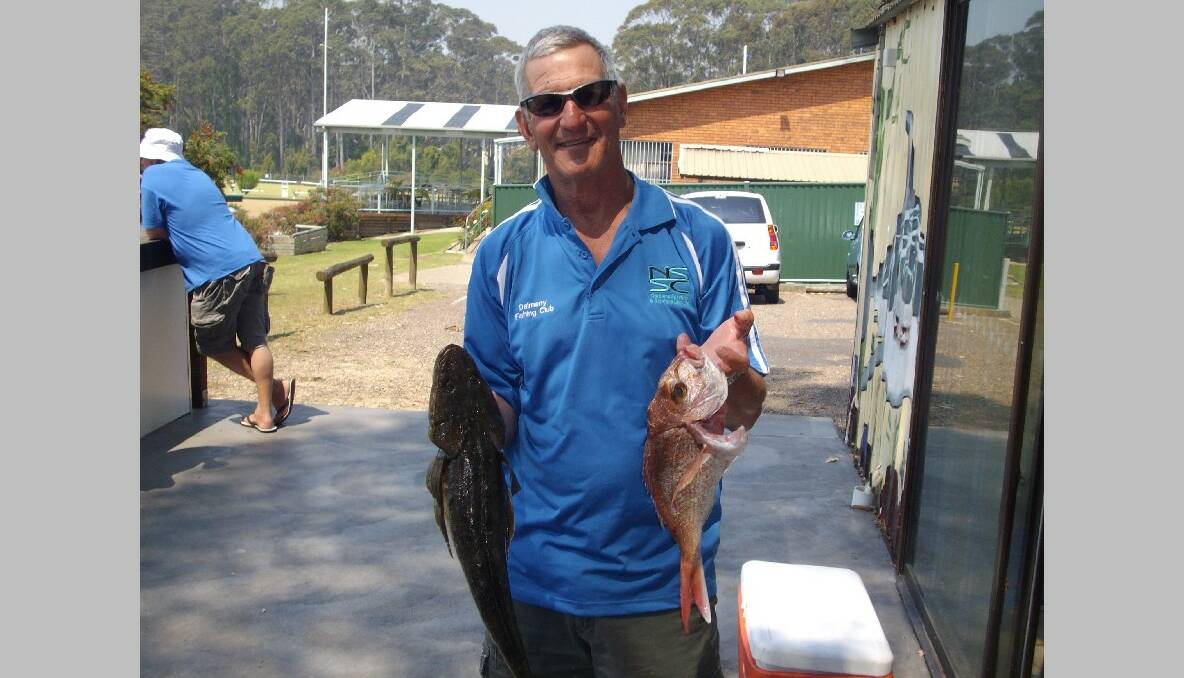 MIXED BAG: Graham Sawyer weighed in eight species in Club Dalmeny's October fishing competition last Sunday including a nice dusky flathead and snapper. (22/10/2013) 