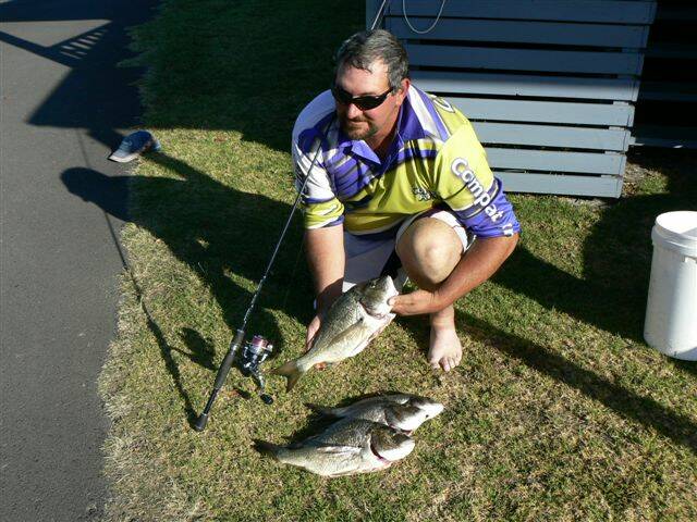 BLACK BREAM: Anthony Hicks from Narooma and the four nice black bream he caught in Wallaga Lake last week on mullet gut. The biggest went 44cm. (13/11/2013) 