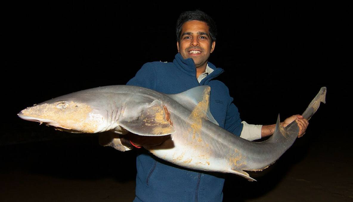 GUMMY TIME: Melbourne visitor Sumit with one of the eight gummies caught by the Poyner fishing party. 