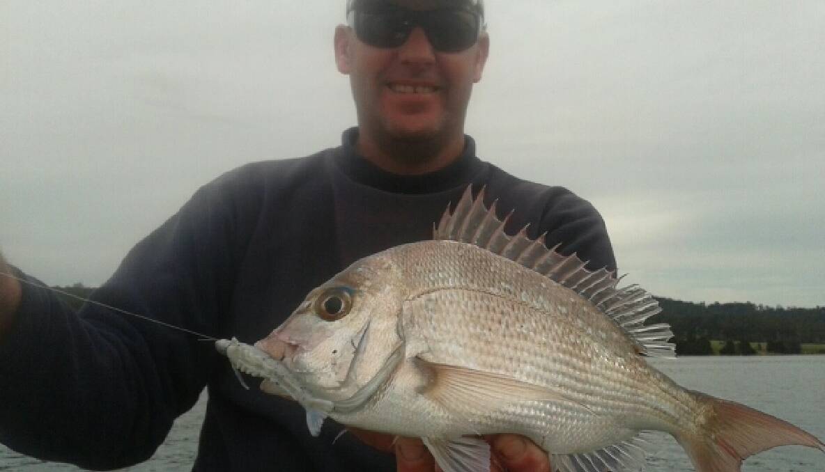 LAKE SNAPPER: Darren “Dash” Bowater with a nice snapper for Wagonga Lake caught on a prawn-shaped plastic. 