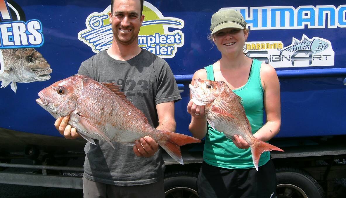 CHARTER SNAPPER: Rob and Dale of New Zealand went out on Narooma Fishing Charters for these snapper. (13/11/2013) 