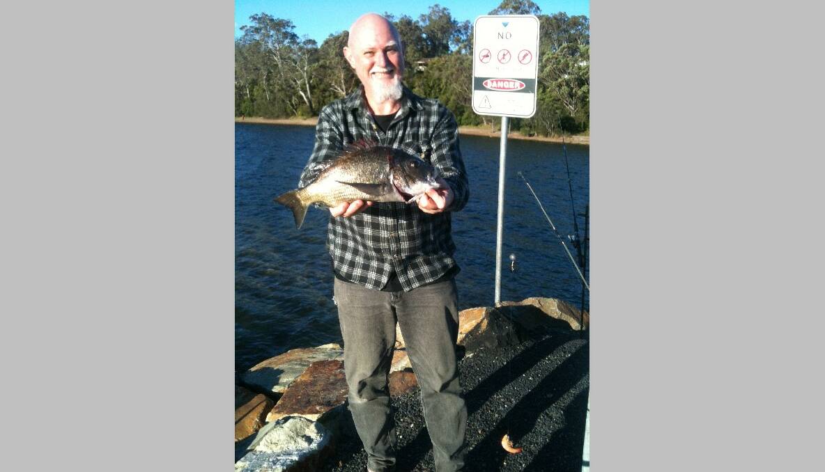 WALLAGA CATCH: Sean Burke got this nice bream at Wallaga Lake. He can’t get any poddy mullet at the moment so Vanamai prawns it was. He also got a nice flounder and a flathead too. (6/11/2013) 