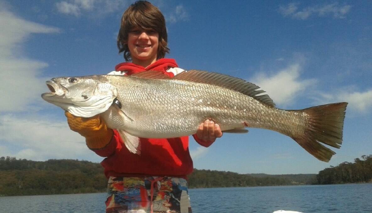 TOP JOB: Riley Bowater of Narooma with his first jewfish caught on Wagonga Inlet under schools of feeding tailor using a metal lure.