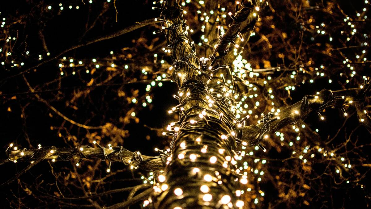 The Bokeh exhibition is free to attend, with residents of Candelo encouraged to put up fairy lights or light blubs in their front or backyards to mark the occasion. Photo: Unsplash 