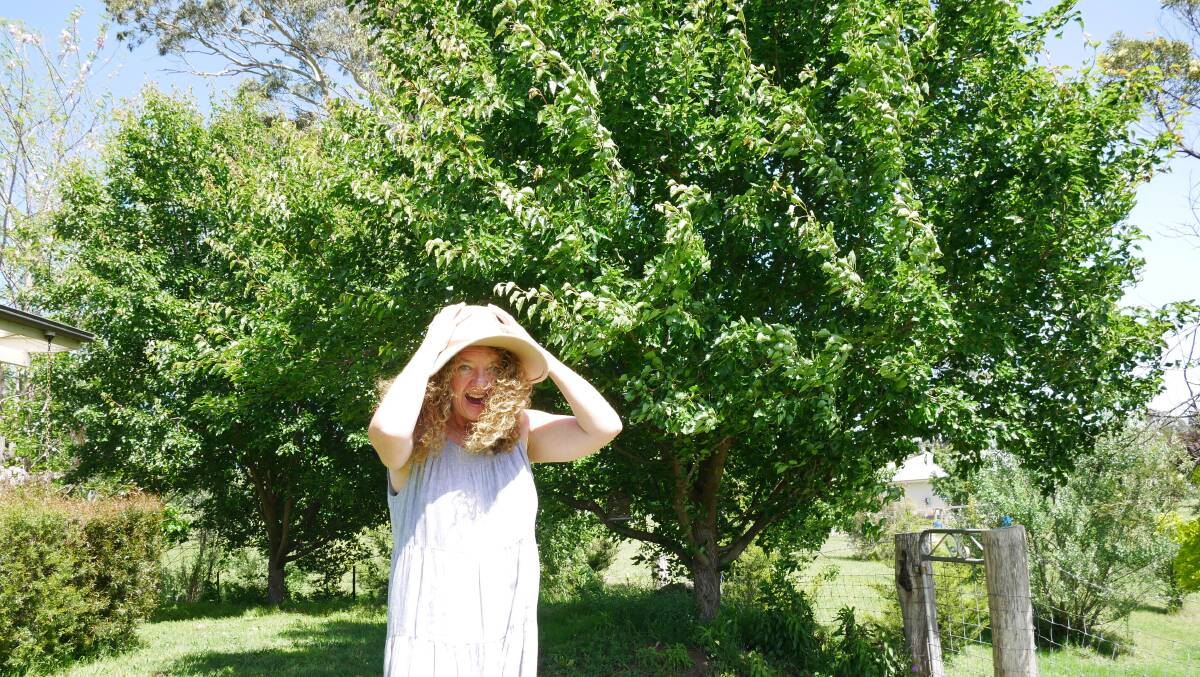 HOLD ONTO YOUR HATS: Tarraganda resident Rae Eggins holds onto her hat on Friday October 28 while gusty winds sweep across the Bega Valley. Picture: Ellouise Bailey