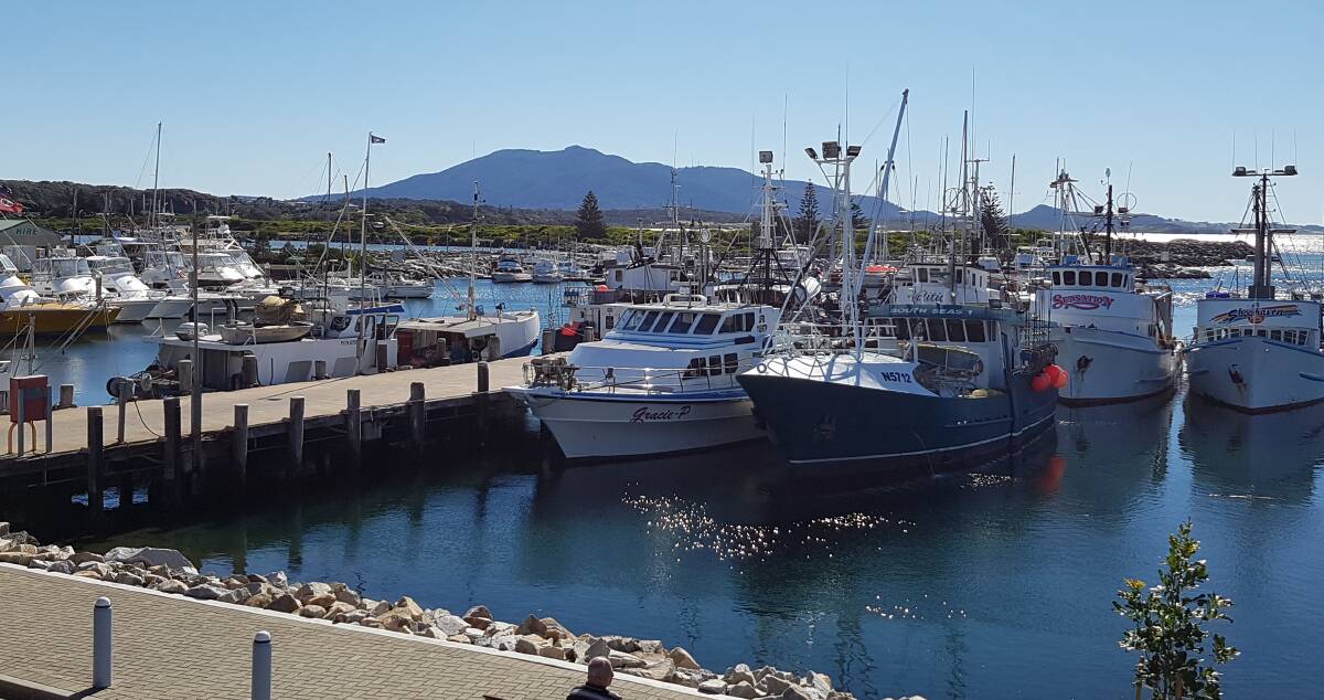 The NSW Taste of Seafood Festivals want to increase demand for local seafood, particularly in country NSW. Photo: Bermagui Fishermen's Co-operative
