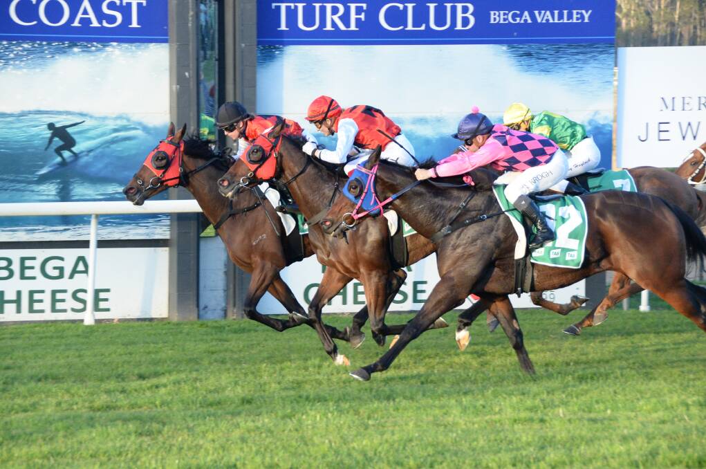 Thrilling live racing at the Bega Cup Carnival. Picture by bradleyphotos.com.au