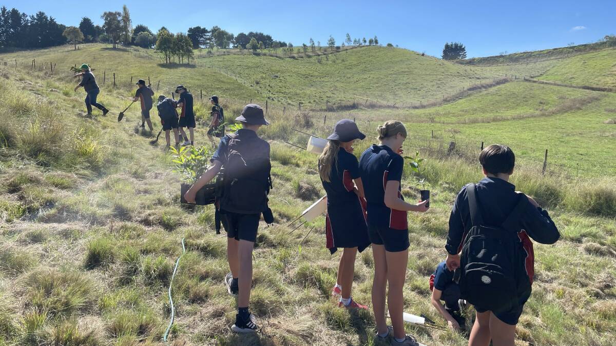 The rolling hills around Candelo, as students prepare to plant trees. Picture by James Parker