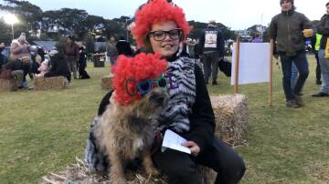 Border terrier Zak and 10-year old Oskar Feddersen won the Best Dog/Owner Costume Combination prize at the weekend's inaugural Narooma Winter Night Markets Festival.