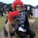 Border terrier Zak and 10-year old Oskar Feddersen won the Best Dog/Owner Costume Combination prize at the weekend's inaugural Narooma Winter Night Markets Festival.