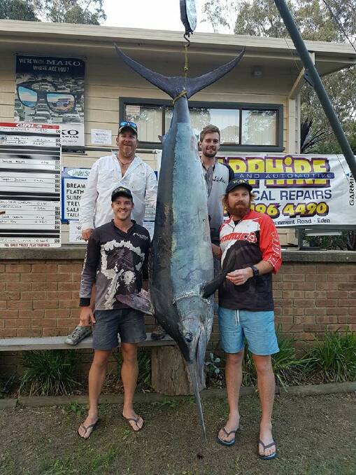 TOP CATCH: Aaron Habgood and his team with the 2017 award-winning marlin weighing in at 111kg. Picture: Eden Amateur Fishing Club