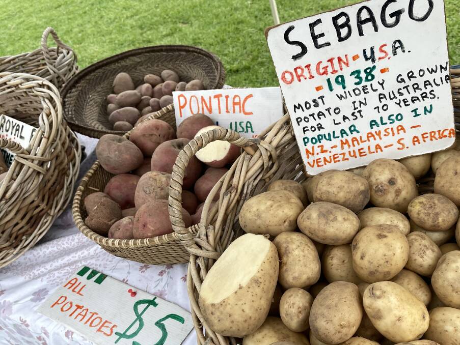 Spuds from Terry the Potato Man at Bega's Produce Market every Friday. Picture by Ben Smyth