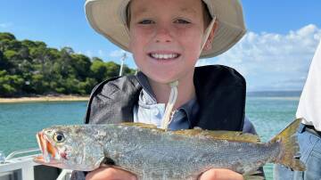 Lachlan Wilkins with a 39cm teraglin caught on the Haycock reef system. Picture supplied